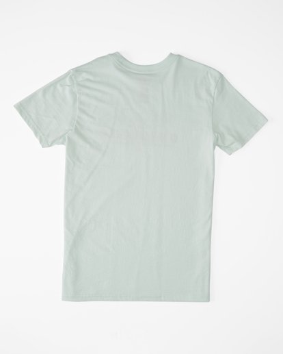 1 Boy's (2-7) 2 Palms Short Sleeve T-Shirt  ABTZT00192 Billabong