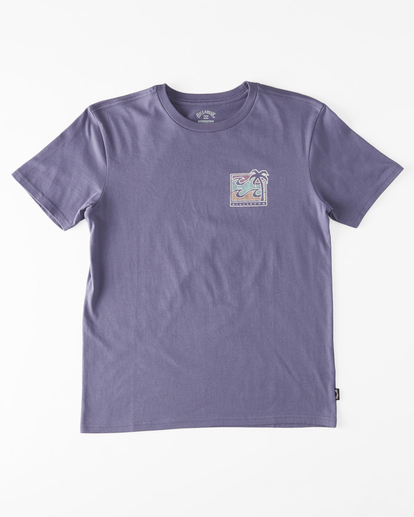 1 Boy's 2-7 BBTV Short Sleeve T-Shirt Purple ABTZT00307 Billabong