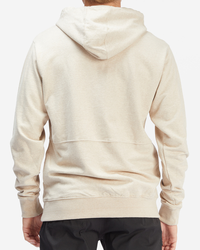 2 Hudson Pullover Hoodie Multicolor ABYFT00157 Billabong