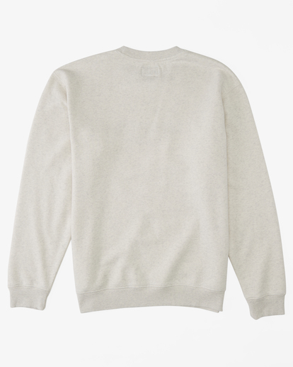 5 Re-Issue - Sweatshirt for Men Gray ABYFT00370 Billabong