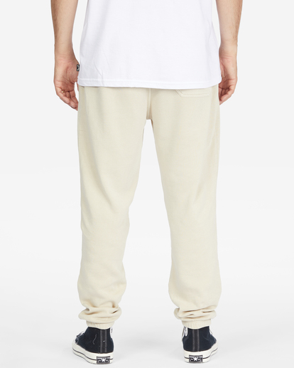 2 Wave Washed Plantasia Sweatpants Beige ABYNP00139 Billabong
