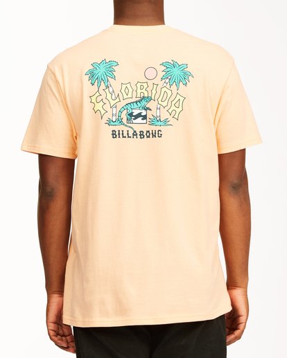 Arch Florida Short Sleeve T-Shirt | Billabong