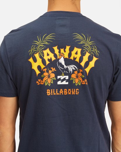 Arch Hawaii Short Sleeve T-Shirt | Billabong