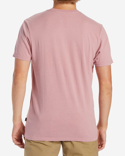 2 Wave Washed Short Sleeve T-Shirt Pink ABYZT01220 Billabong