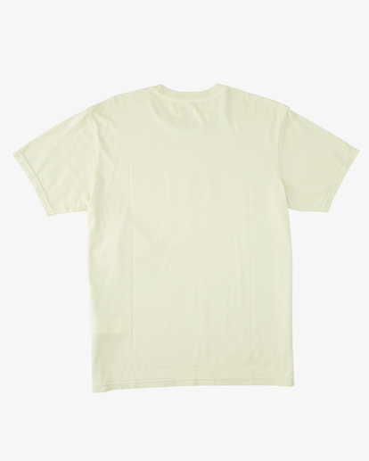 5 Chest Wave Washed Short Sleeve T-Shirt Green ABYZT01292 Billabong