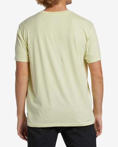 3 Chest Wave Washed Short Sleeve T-Shirt Green ABYZT01292 Billabong