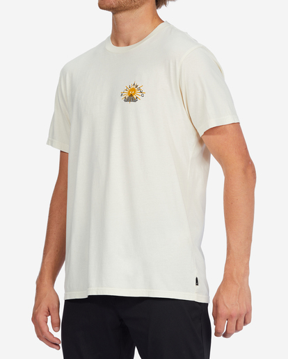 2 Providence Wave Washed Short Sleeve T-Shirt White ABYZT01295 Billabong