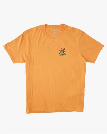 4 A/Div Shine Organic Short Sleeve T-Shirt Red ABYZT01320 Billabong