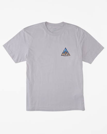 6 A/Div Shine Short Sleeve T-Shirt Grey ABYZT01619 Billabong