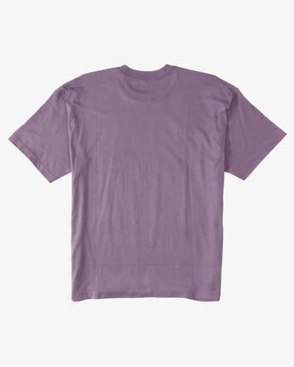 5 Growth OG T-Shirt Purple ABYZT01705 Billabong