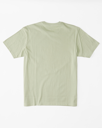 6 Alaska Wave - T-shirt orgânica para Homem Beige ABYZT01744 Billabong