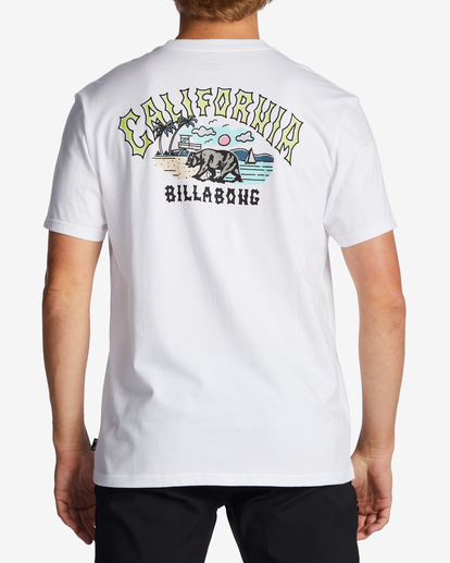 2 CA Arch T-Shirt White ABYZT01753 Billabong