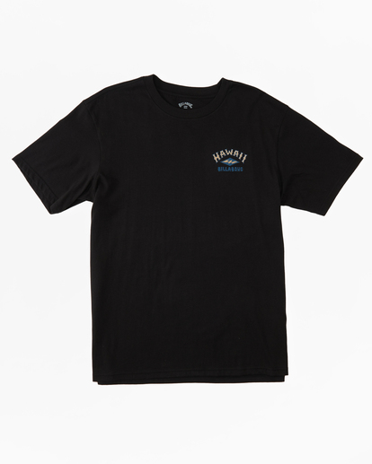 4 Hawaii Arch T-Shirt Black ABYZT01754 Billabong