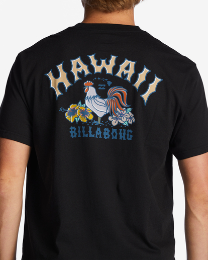 3 Hawaii Arch T-Shirt Black ABYZT01754 Billabong