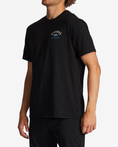 1 Hawaii Arch T-Shirt Black ABYZT01754 Billabong