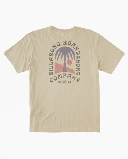 4 Passage - T-Shirt for Men Beige ABYZT01862 Billabong