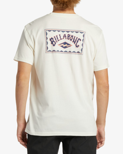2 A/Div Arch T-Shirt White ABYZT01893 Billabong