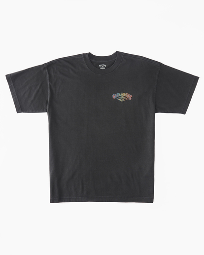 Arch Wave T-Shirt | Billabong