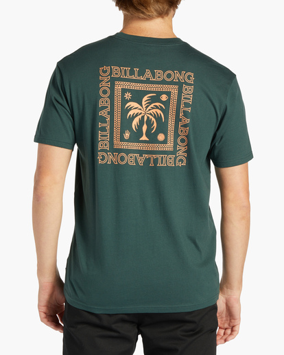 2 Tropics Pocket T-Shirt Green ABYZT02204 Billabong