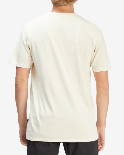 2 Essential Wave Washed Short Sleeve T-Shirt Brown ABYZT02243 Billabong