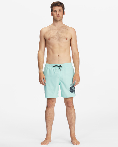 Mens on sale 16 boardshorts