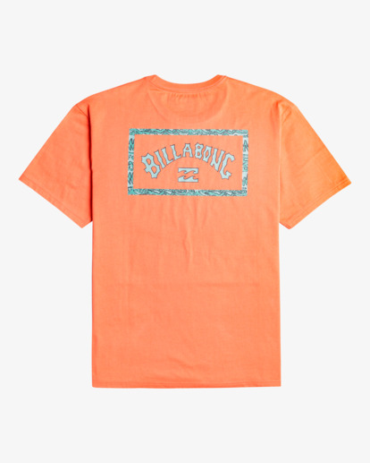 6 ADIV  Arch - Camiseta de manga corta para Hombre Gris C1SS46BIP2 Billabong