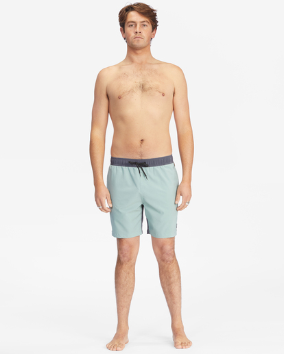 1 All Day Pigment Layback 17" - Boardshort pour Homme Vert D1LB14BIMU Billabong