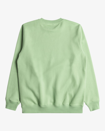 Mint green 2024 crew neck sweatshirt