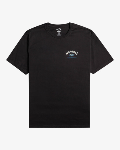 5 Arch Dreamy Place - T-Shirt for Men Black EBYZT00107 Billabong