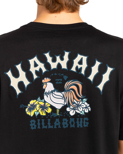 2 Arch Dreamy Place - T-Shirt for Men Black EBYZT00107 Billabong