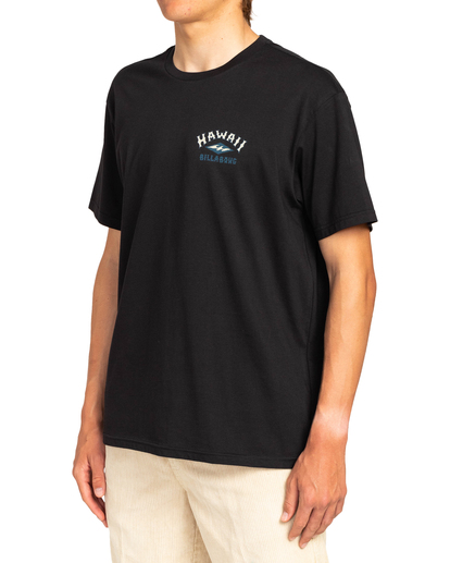 3 Arch Dreamy Place - T-Shirt for Men Black EBYZT00107 Billabong
