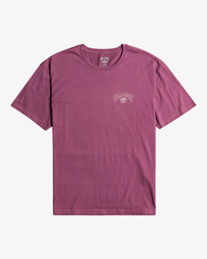 7 Arch Theme - T-shirt pour Homme  F1SS25BIF2 Billabong