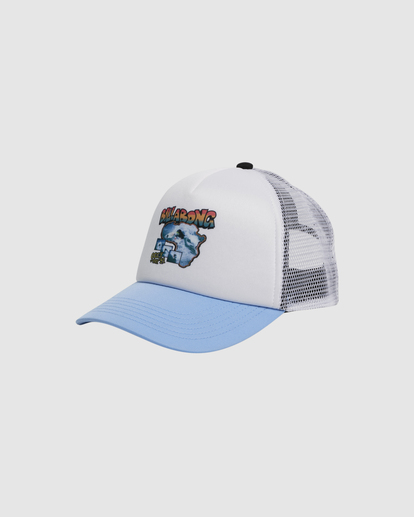 0 Boys Larry Trucker Cap Blue UBBHA00153 Billabong