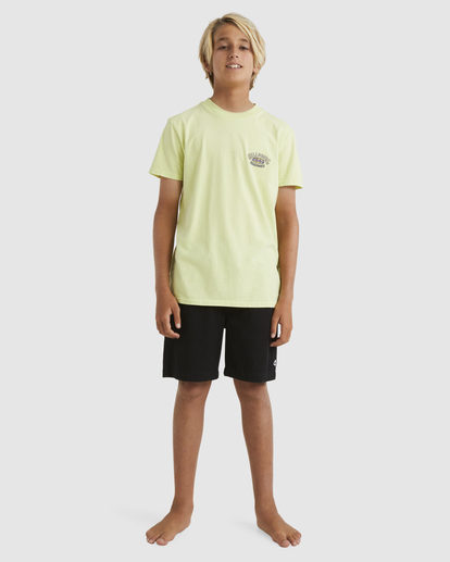 4 Boys 8-16 Vintage Arch T-Shirt Green UBBZT00205 Billabong