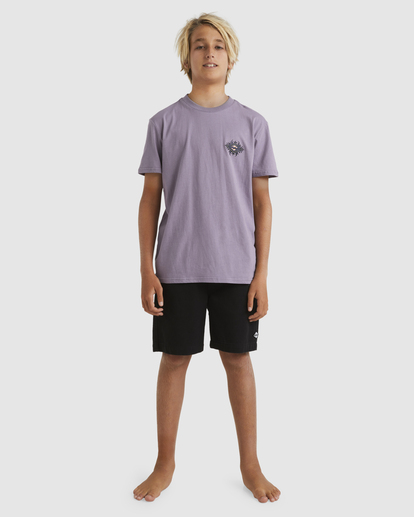 4 Boys 8-16 Tribe Core T-Shirt Purple UBBZT00206 Billabong