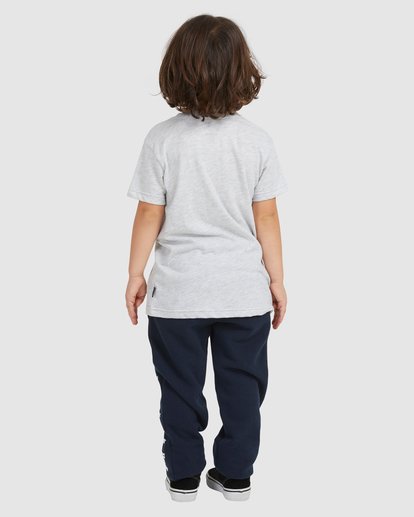 2 Boy's (2-7) Groms Diamond Wave Short Sleeve T-Shirt Grey UBTZT00117 Billabong