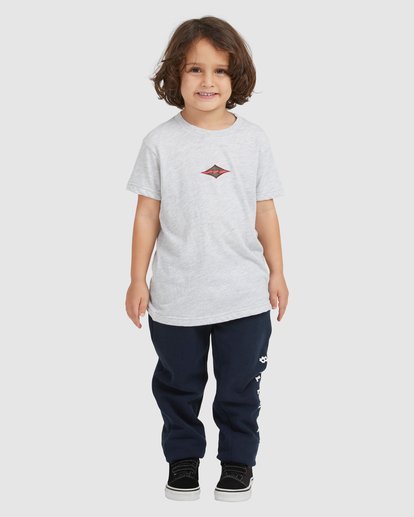 0 Boy's (2-7) Groms Diamond Wave Short Sleeve T-Shirt Grey UBTZT00117 Billabong