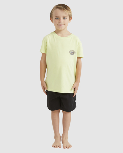 0 Boys 0-7 Vintage Arch T-Shirt Green UBTZT00164 Billabong