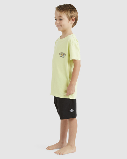 1 Boys 0-7 Vintage Arch T-Shirt Green UBTZT00164 Billabong