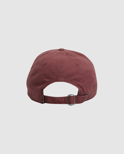 Billabong all best sale day lad cap