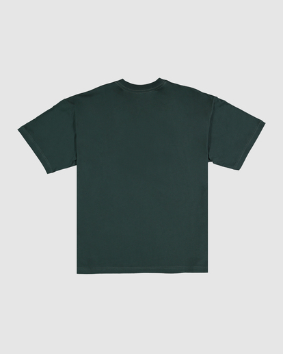 6 Down Under T-Shirt Green UBYZT00501 Billabong