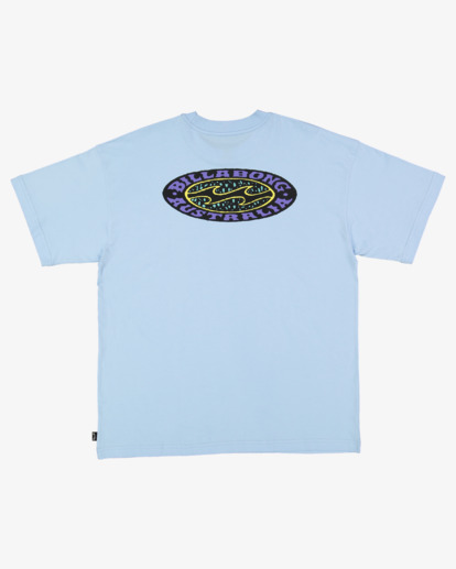 5 Homegrown T-Shirt Blue UBYZT00631 Billabong
