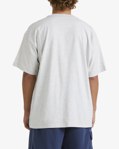 3 Dagger T-Shirt Grey UBYZT00635 Billabong