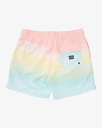 1 Boy's Good Times Layback Boardshorts 16" Brown ABBBS00153 Billabong
