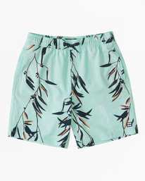 billabong, Boys' Sundays Layback Boardshorts, MINT (mnt) SUNDAYS LAYBACK ABBJV00102
