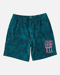 0 Boy's Riot Layback 16" Boardshorts Blue ABBJV00103 Billabong