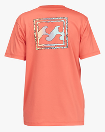 6 Boys' Crayon Wave Loose Fit Short Sleeve Surf Tee Orange ABBWR00122 Billabong