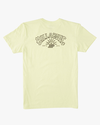 billabong, Boy's Theme Arch Short Sleeve T-Shirt, LIGHT GREEN (gcq0) THEME ARCH SS ABBZT00297