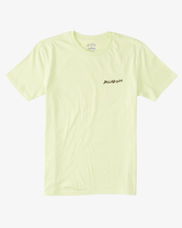billabong, Boy's Sharky T-Shirt, LIGHT GREEN (gcq0) Sharky - T-Shirt for Boys 8-16 ABBZT00349