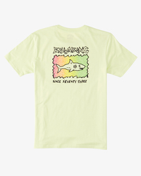 billabong, Boy's Sharky T-Shirt, LIGHT GREEN (gcq0) Sharky - T-Shirt for Boys 8-16 ABBZT00349